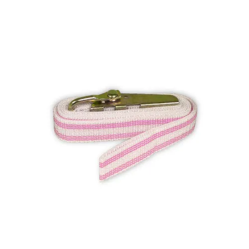 Picture of Pink Mold Strap 8' long