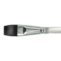 Picture of Duncan Discovery Brush Flat Translucent 3/4 inch