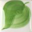 Picture of Duncan EZ Strokes Underglaze EZ028 Leaf Green 29.5ml