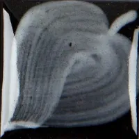 Picture of Duncan EZ Strokes Underglaze EZ013 White 29.5ml