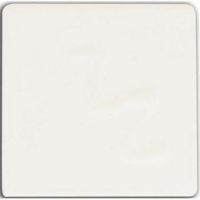 Picture of Cesco Gloss Glaze Oyster White 500ml