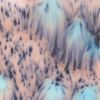 Picture of Mayco Crystalite Glaze S2702 Northern Lights 118ml