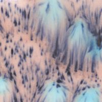 Picture of Mayco Crystalite Glaze S2702 Northern Lights 118ml