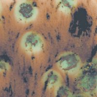 Picture of Mayco Crystalite Glaze S2709 Cappuccino Mint 118ml