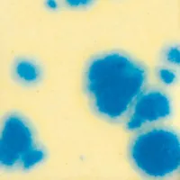 Picture of Mayco Crystalite Glaze S2713 Buttercup Blue 118ml