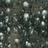 Picture of Mayco Crystalite Glaze S2718 Cosmic Black 118ml