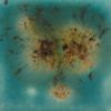 Picture of Mayco Crystalite Glaze S2724 Lotus Blossom 118ml