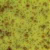 Picture of Mayco Jungle Gems Glaze CG717 Pistachio 118ml