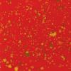 Picture of Mayco Jungle Gems Glaze CG756 Firecracker 118ml