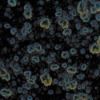 Picture of Mayco Jungle Gems Glaze CG786 Obsidian 118ml