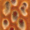 Picture of Mayco Jungle Gems Glaze CG972 Dragons Breath 118ml