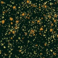 Picture of Mayco Jungle Gems Glaze CG798 Black Iris 118ml