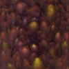 Picture of Mayco Jungle Gems Glaze CG969 Floral Fantasy 118ml