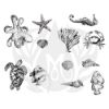 Picture of Mayco Designer Silkscreen - Sea Life