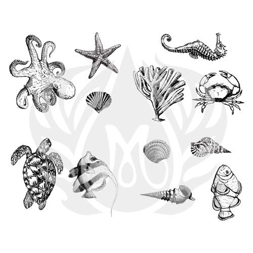 Picture of Mayco Designer Silkscreen - Sea Life
