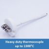 Picture of Thermocouple with Lead Wires