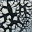 Picture of Mayco Specialty Glaze SG202 White Cobblestone 473ml