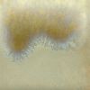 Picture of Mayco PC601 Clear Cascade 473ml