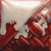 Picture of Mayco Stoneware Glaze SW401 Light Flux 118ml