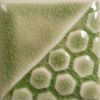 Picture of Mayco Classic Crackle Glaze CC107 Green Tea 118ml