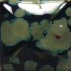 Picture of Mayco Stoneware Crystal Glaze SW151 Olive Float 473ml