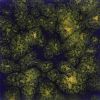 Picture of Mayco Jungle Gems Glaze CG990 Starry Night 118ml
