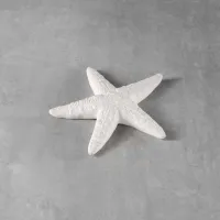 Picture of Ceramic Bisque C63000 Starfish 3D