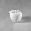 Picture of Ceramic Bisque CCX238 Small Apple Box 6pc