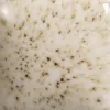 Picture of Mayco Specialty Glaze SG701 Speckta-Clear Stardust 118ml