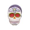 Picture of Ceramic Bisque Skull Box 4pc