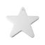 Picture of Ceramic Bisque Flat Big Star Ornament 12pc