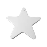Picture of Ceramic Bisque Flat Big Star Ornament 12pc