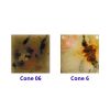 Picture of Mayco Crystalite Glaze S2725 Safari 118ml