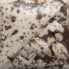 Picture of Mayco Stoneware Dry Glaze SD155 Winter Wood 4.5kg