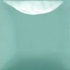 Picture of Mayco Stroke and Coat SC101 Spruce it Up 473ml