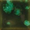 Picture of Mayco Jungle Gems Glaze CG707 Woodland Fantasy 118ml