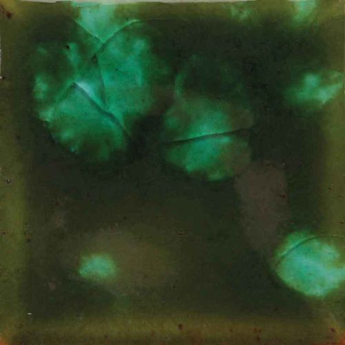 Picture of Mayco Jungle Gems Glaze CG707 Woodland Fantasy 118ml