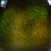 Picture of Mayco Jungle Gems Glaze CG707 Woodland Fantasy 118ml