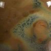 Picture of Mayco Jungle Gems Glaze CG716 Pagoda Green 118ml