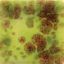 Picture of Mayco Jungle Gems Glaze CG717 Pistachio 118ml