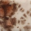 Picture of Mayco Jungle Gems Glaze CG795 Yadro Print 118ml