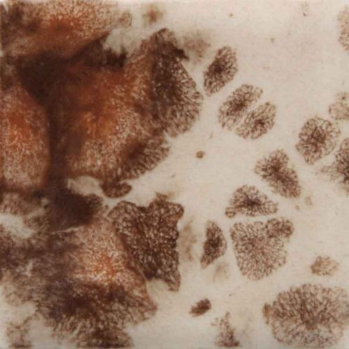 Picture of Mayco Jungle Gems Glaze CG795 Yadro Print 118ml