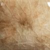 Picture of Mayco Jungle Gems Glaze CG795 Yadro Print 118ml