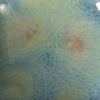 Picture of Mayco Jungle Gems Glaze CG962 Blue Azure 118ml