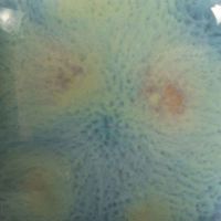 Picture of Mayco Jungle Gems Glaze CG962 Blue Azure 118ml
