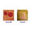 Picture of Mayco Jungle Gems Glaze CG972 Dragons Breath 118ml