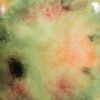 Picture of Mayco Jungle Gems Glaze CG982 Mixed Melon 118ml
