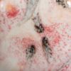 Picture of Mayco Crystalite Glaze S2727 Poppy Fields 118ml