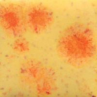 Picture of Mayco Crystalite Glaze S2729 Citrus Splash 118ml