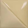 Picture of Mayco Fundamentals Underglaze UG234 Ivory Pearl 59ml